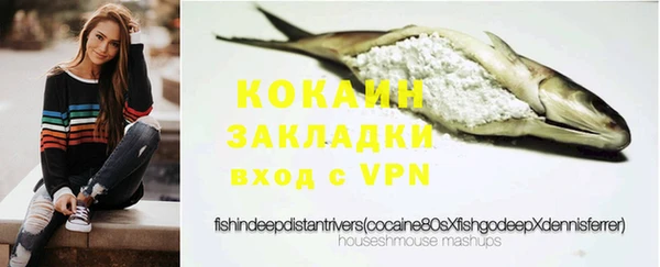 ГАЛЛЮЦИНОГЕННЫЕ ГРИБЫ Вязники
