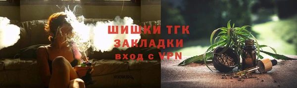 ГАЛЛЮЦИНОГЕННЫЕ ГРИБЫ Вязники
