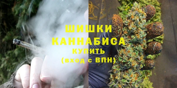 ГАЛЛЮЦИНОГЕННЫЕ ГРИБЫ Вязники